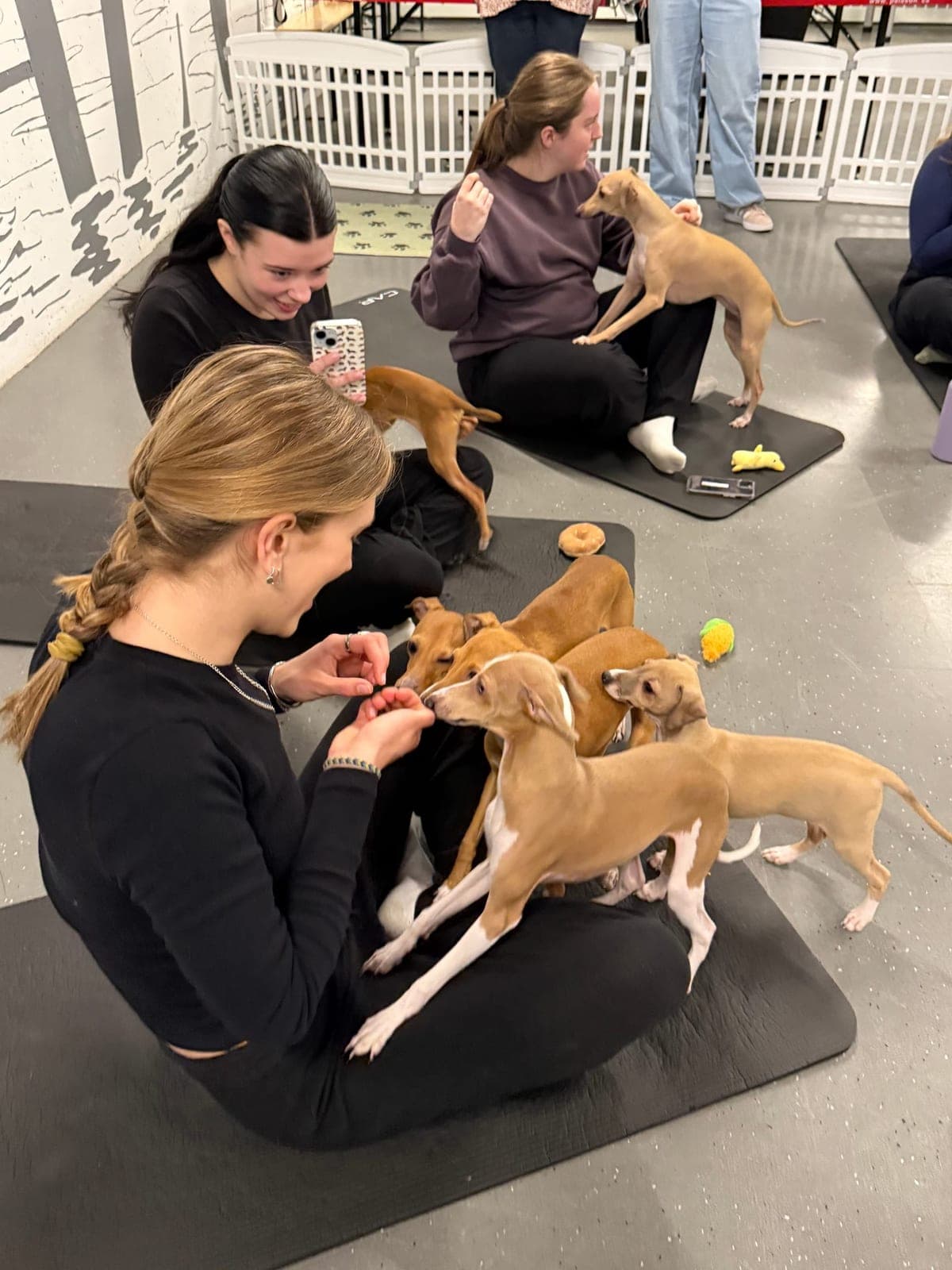 Residents participating in ALMA South End puppy yoga event
