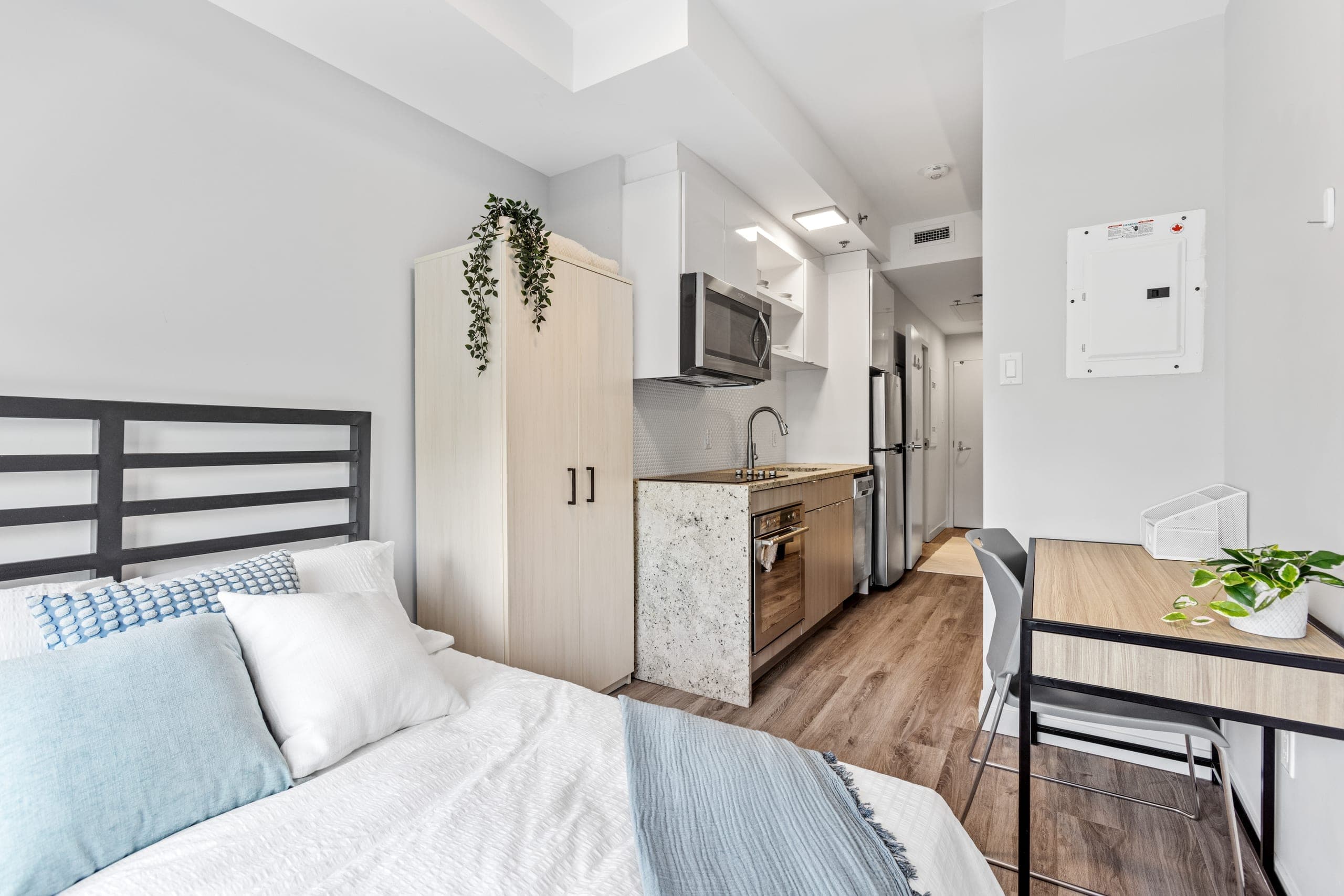 Modern studio apartment
