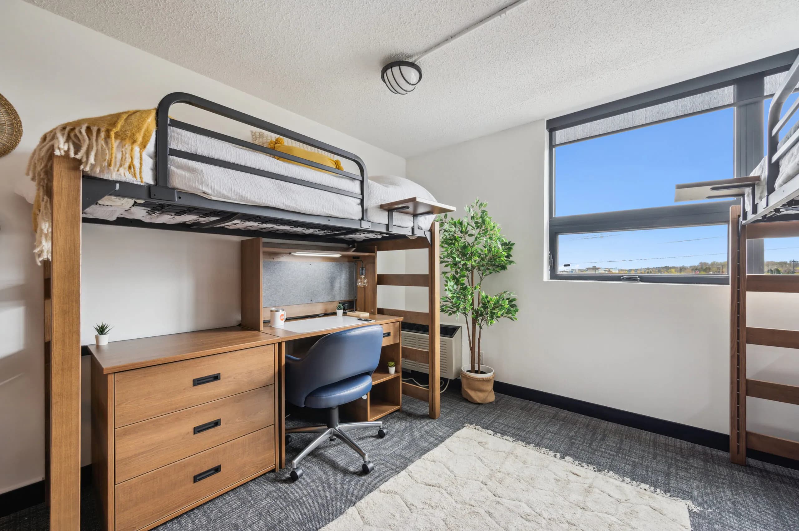 ALMA Roomies shared loft bedroom