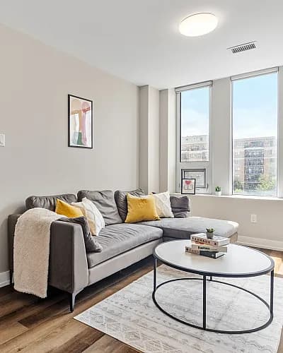 Bright and inviting living room with a modern gray sofa, stylish decor, and expansive windows.
